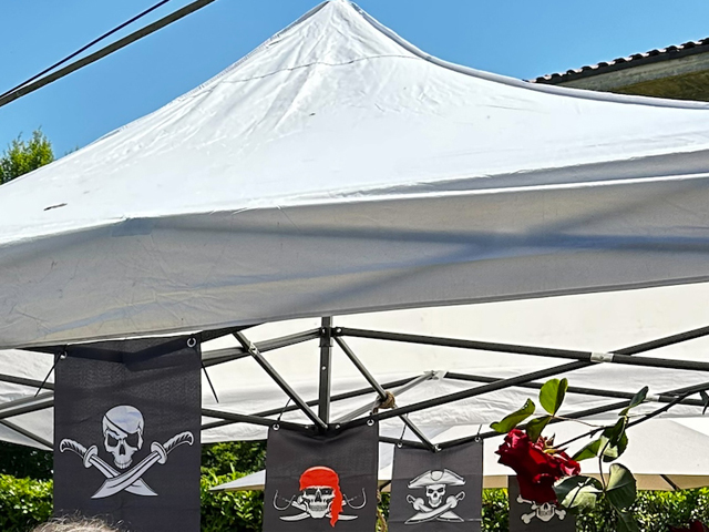 20260509-Gazebo.jpg